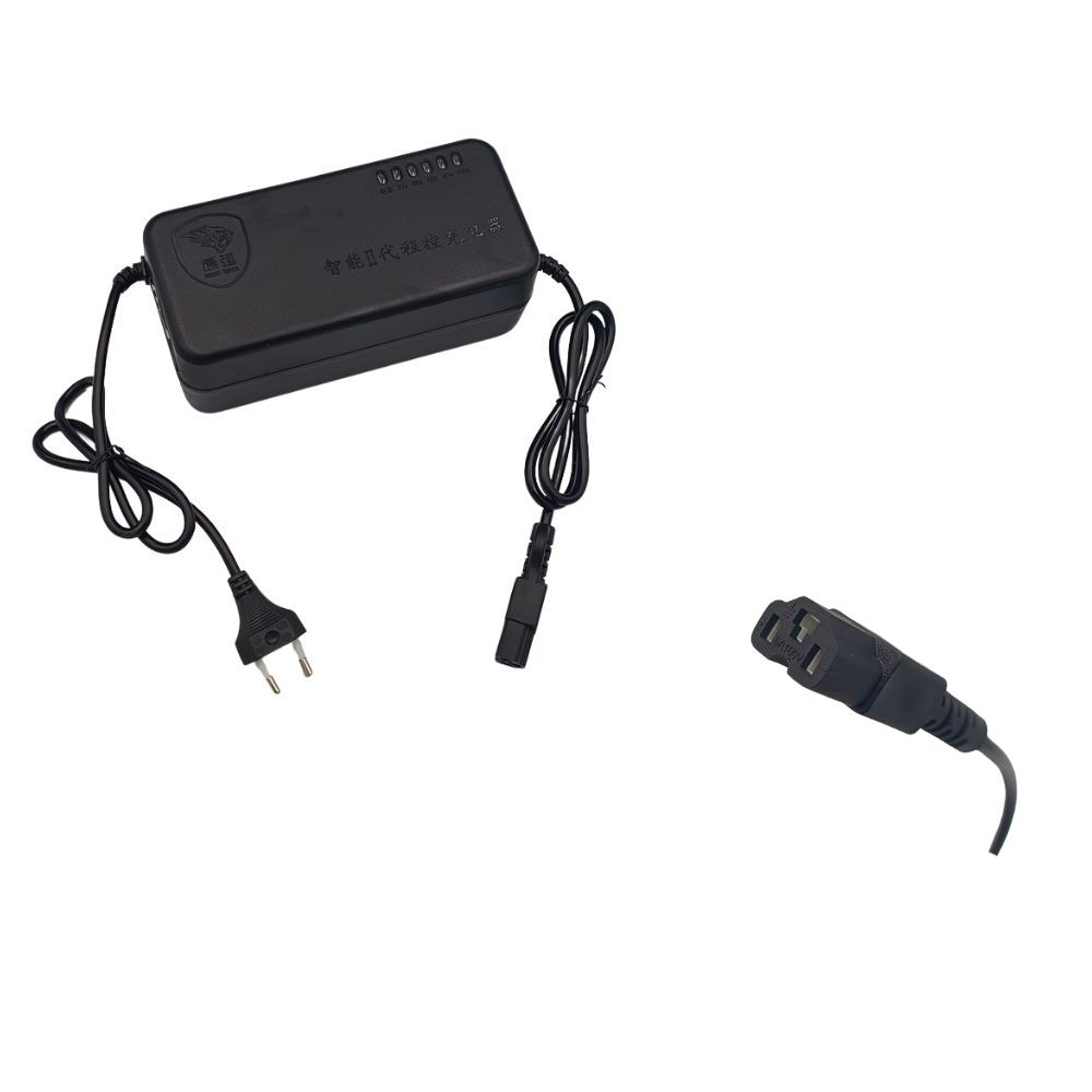 Incarcator universal triciclu electric 72V 32Ah [2]
