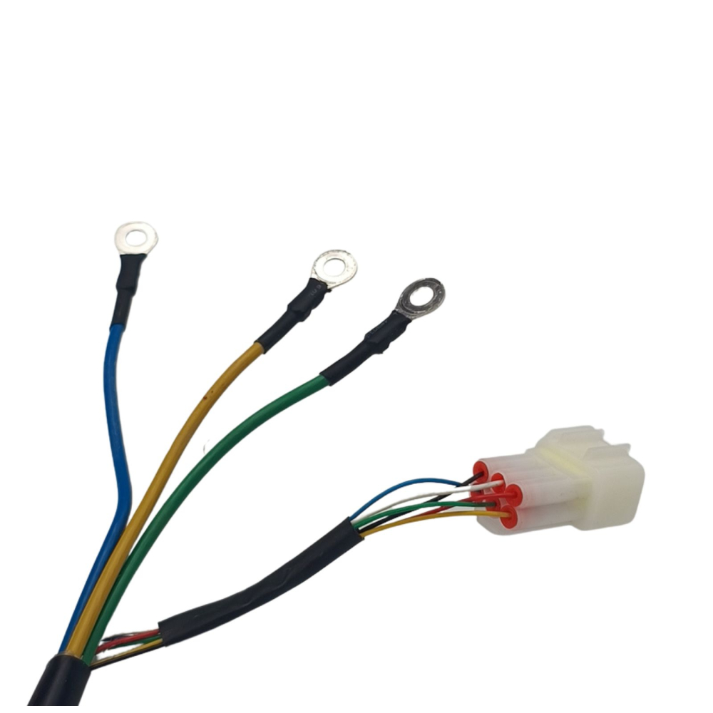 MOTOR L-KLASS4 [4]