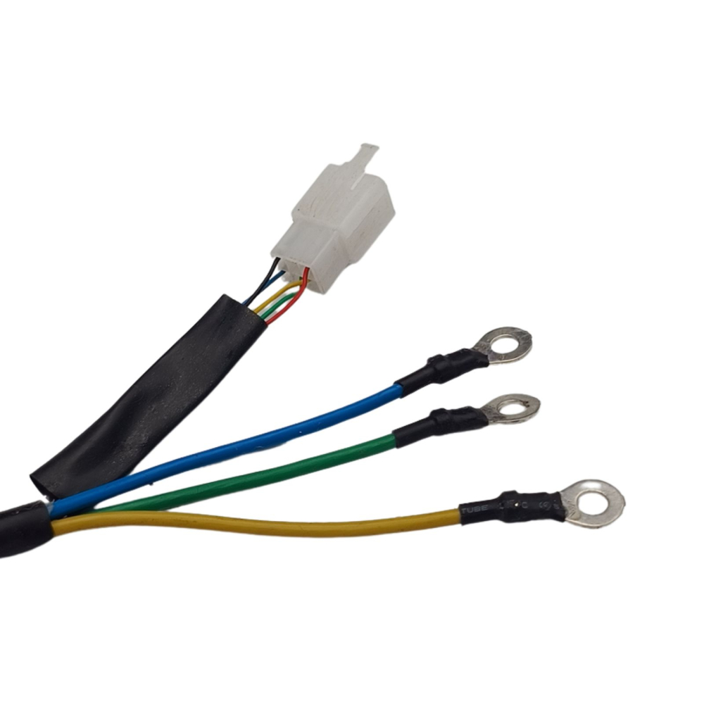 Motor triciclu electric GORIDE [4]