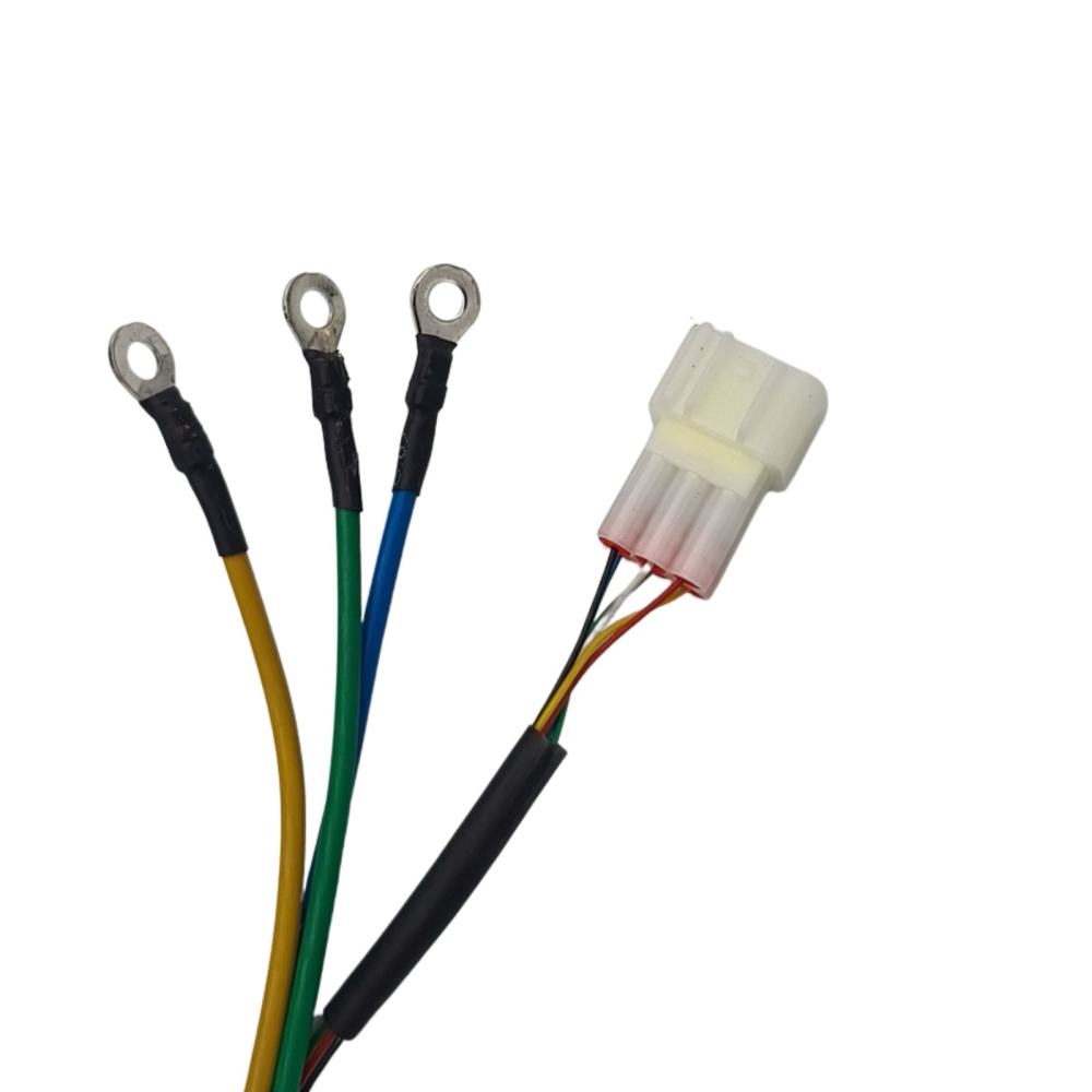 Motor triciclu electric X-KLASS4 [4]