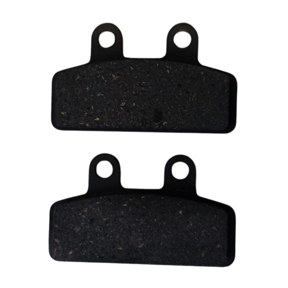 Placute frana fata ECORIDE [2]