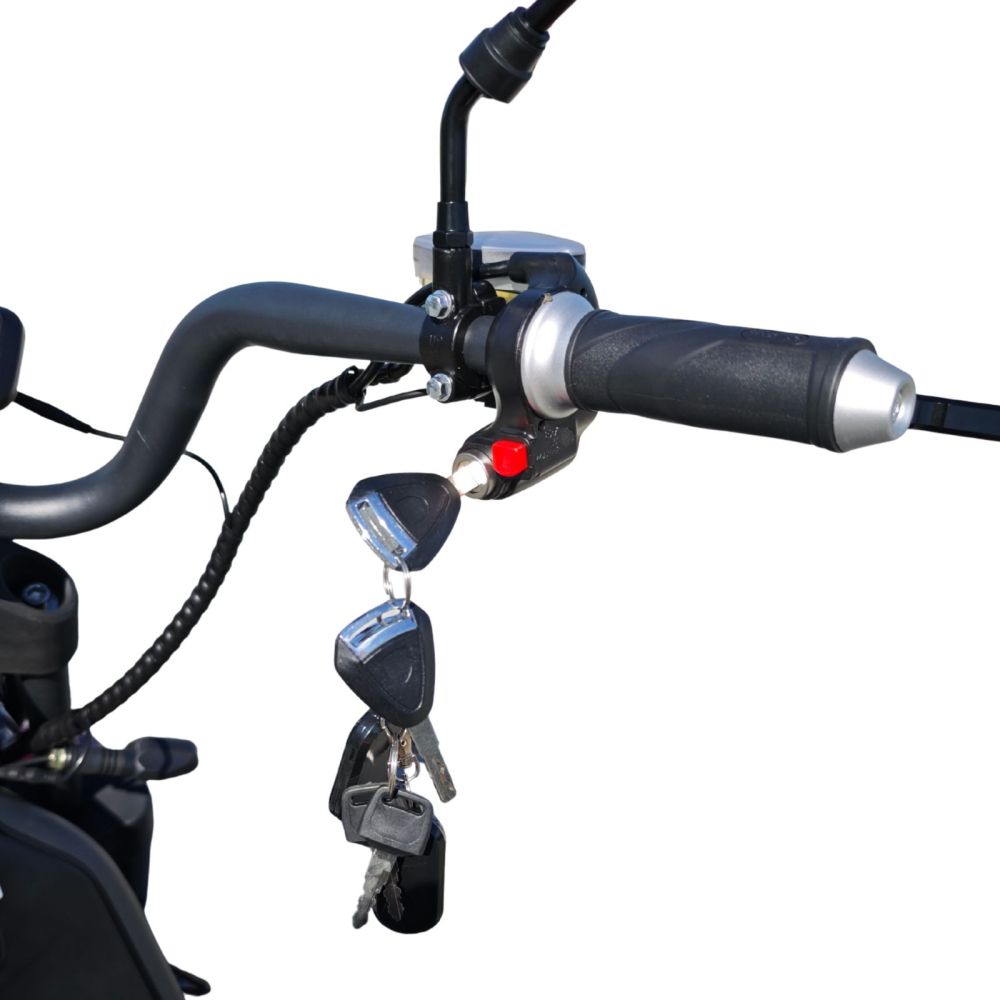 Scuter electric Harley CC25, motor 3000W, 30Ah baterie detasabila, 25km/h fara permis, 2 locuri, Autonomie max 60km [8]