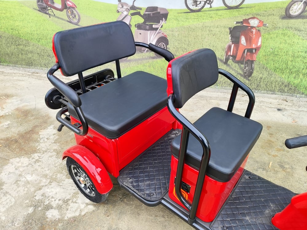 Tricicleta electrica Jinpeng Eco Ride XD, 2 locuri, 25km/h fara permis, motor 2100w [9]