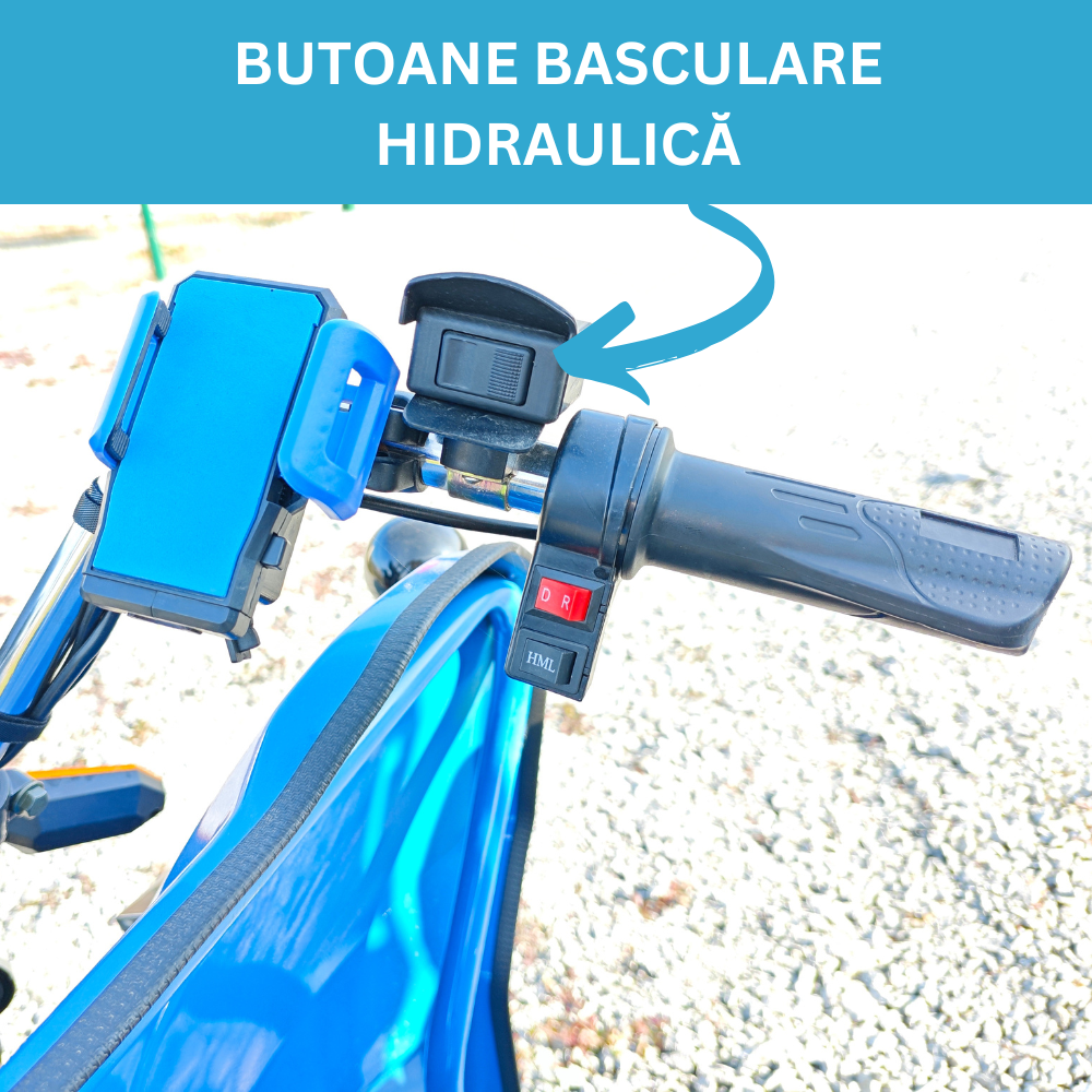 Triciclu electric cu remorca, basculabil la buton, motor 3900W, baterii 58Ah, Viteza 25km/h, Dump [9]