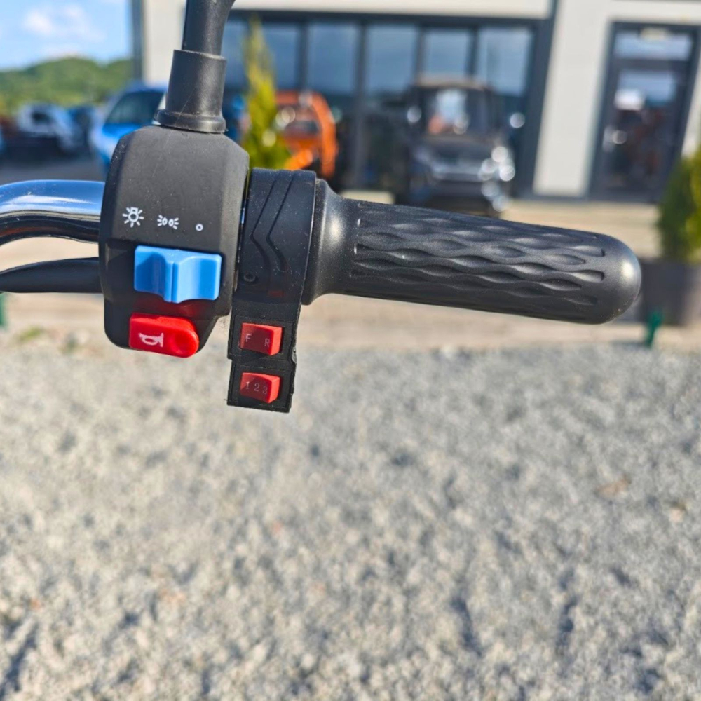 Triciclu Electric cu bena basculabila Ruris PILOT 3120, fara permis, autonomie max 60km, Negru, Drujba Cadou [16]