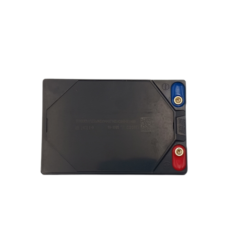 Acumulator vehicule electrice 12V 12Ah, cu surub (6-DZF-12) [1]