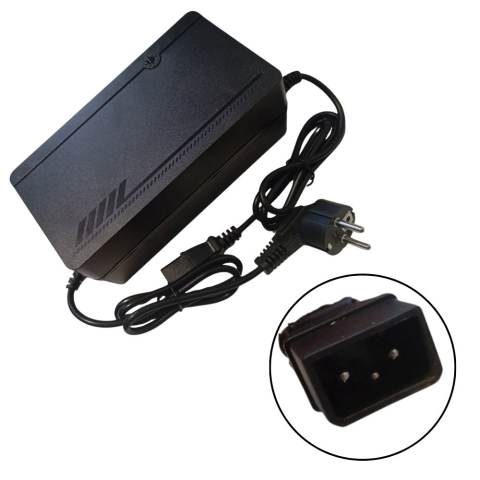 DZH - Incarcator triciclu electirc Jinpeng DZH