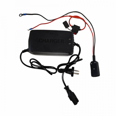 Incarcator Triciclu Electric - Incarcator ZT-17 cu adaptor Baterii