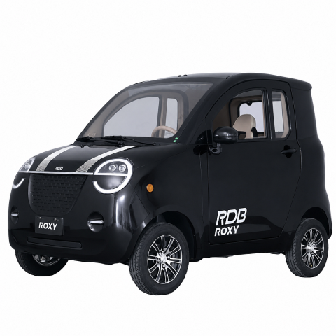Masina Electrica RDB Roxy PRO 2026 cu Aer Conditionat, viteza 25km/h, 80-100km autonomie, CIV inclus, baterie 60V 100Ah [19]