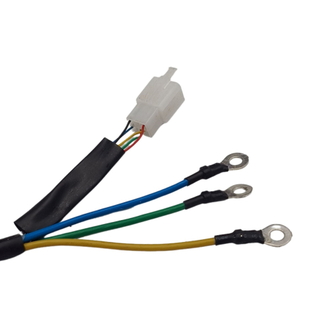 Motor triciclu electric GORIDE [3]