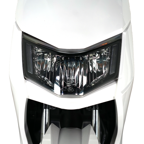 Scuter Electric Ecorider PRO, 25km/h, 800W, baterii 20Ah 2024 [2]