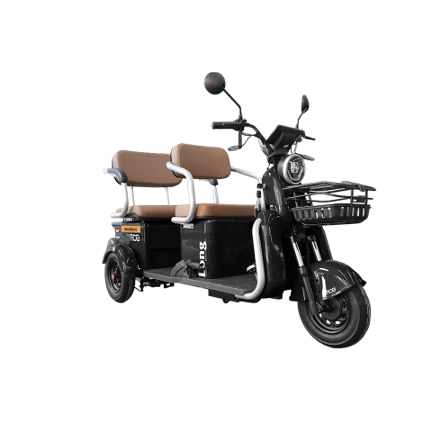 Tricicleta electrica 2 persoane, 2000W motor, Carte RAR inclusa, RDB LONG [23]