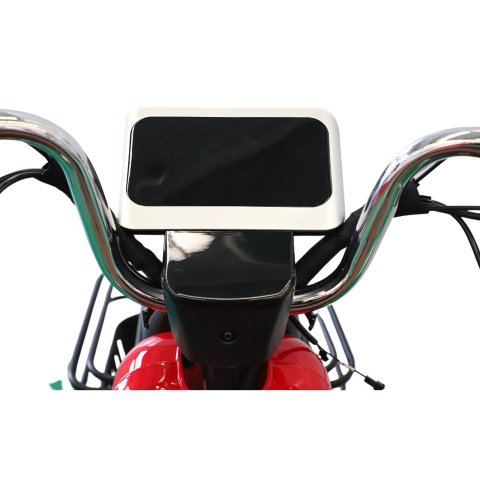 Tricicleta electrica 2 persoane, 200W motor, Carte RAR inclusa, RDB LONG [7]