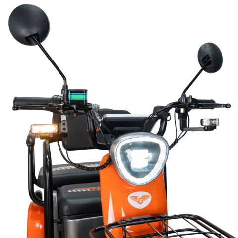 Tricicleta electrica 2 persoane, fara permis, Carte RAR inclusa, Ruris Pilot 3020 [19]
