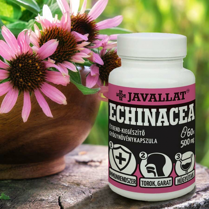 Capsule Echinacea, 60 buc [2]