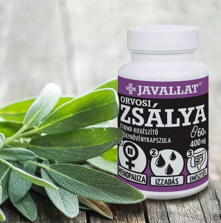 Sănătatea femeilor - Capsule cu Salvie, realizat din plante medicinale de înaltă calitate, testate și verificate, 60buc