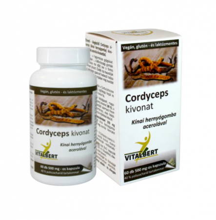 Stimulatoare ale sistemului imunitar - Extract de Cordyceps sinensis (ciuperca medicinala), 500 mg (doza pentru o luna), 60 capsule