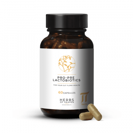 Digestie și Probiotice - Lactobiotics Pre- și Probiotice – 60 capsule