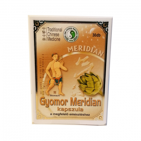 Digestie și Probiotice - Meridian stomac