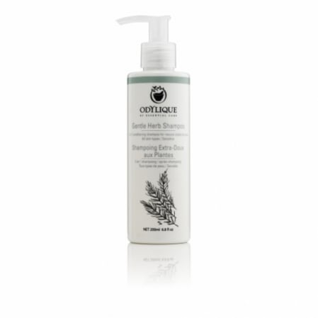 Produse - Sampon de plante, pt. par normal/gras, Odylique, 200ml