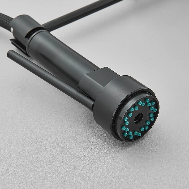 baterie bucatarie profesionala negru mat BisDesign cu dus flexibil 360 [11]