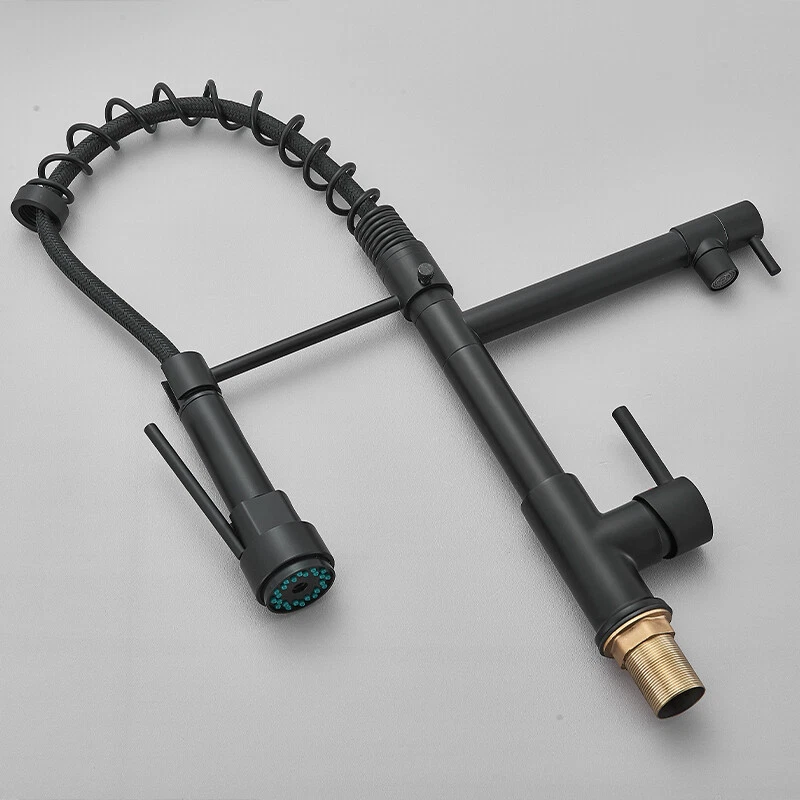 baterie bucatarie profesionala negru mat BisDesign cu dus flexibil 360 [10]