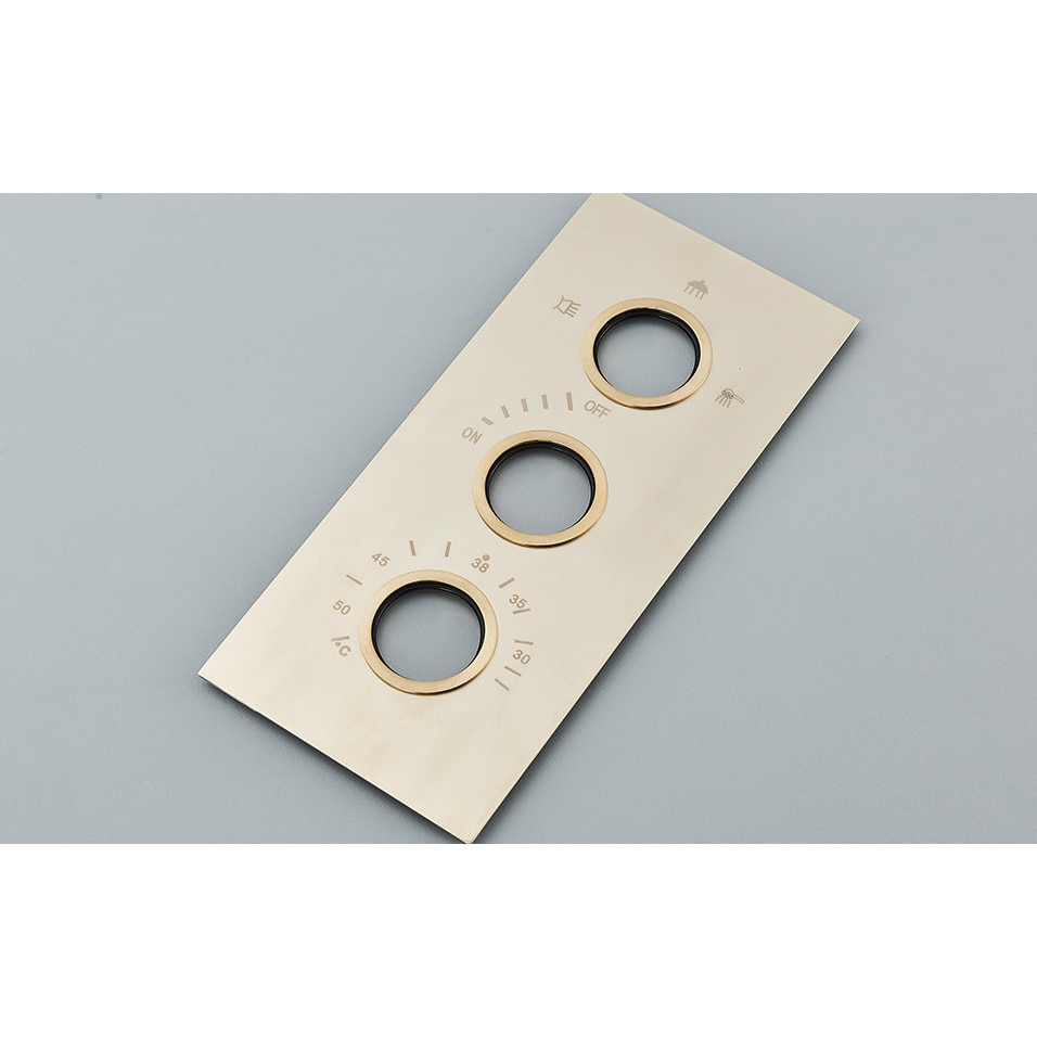Sistem de Dus Baie BisDesign®, Incastrabil cu Termostat, Functie Cascada si Ploaie, Finisaj Auriu Mat, Para Dus Perete 55x22 cm [6]