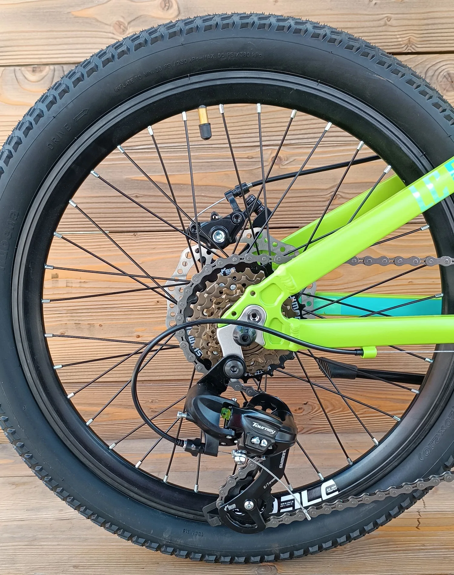 Bicicleta copii 20 Capriolo LC AL verde 11 [8]