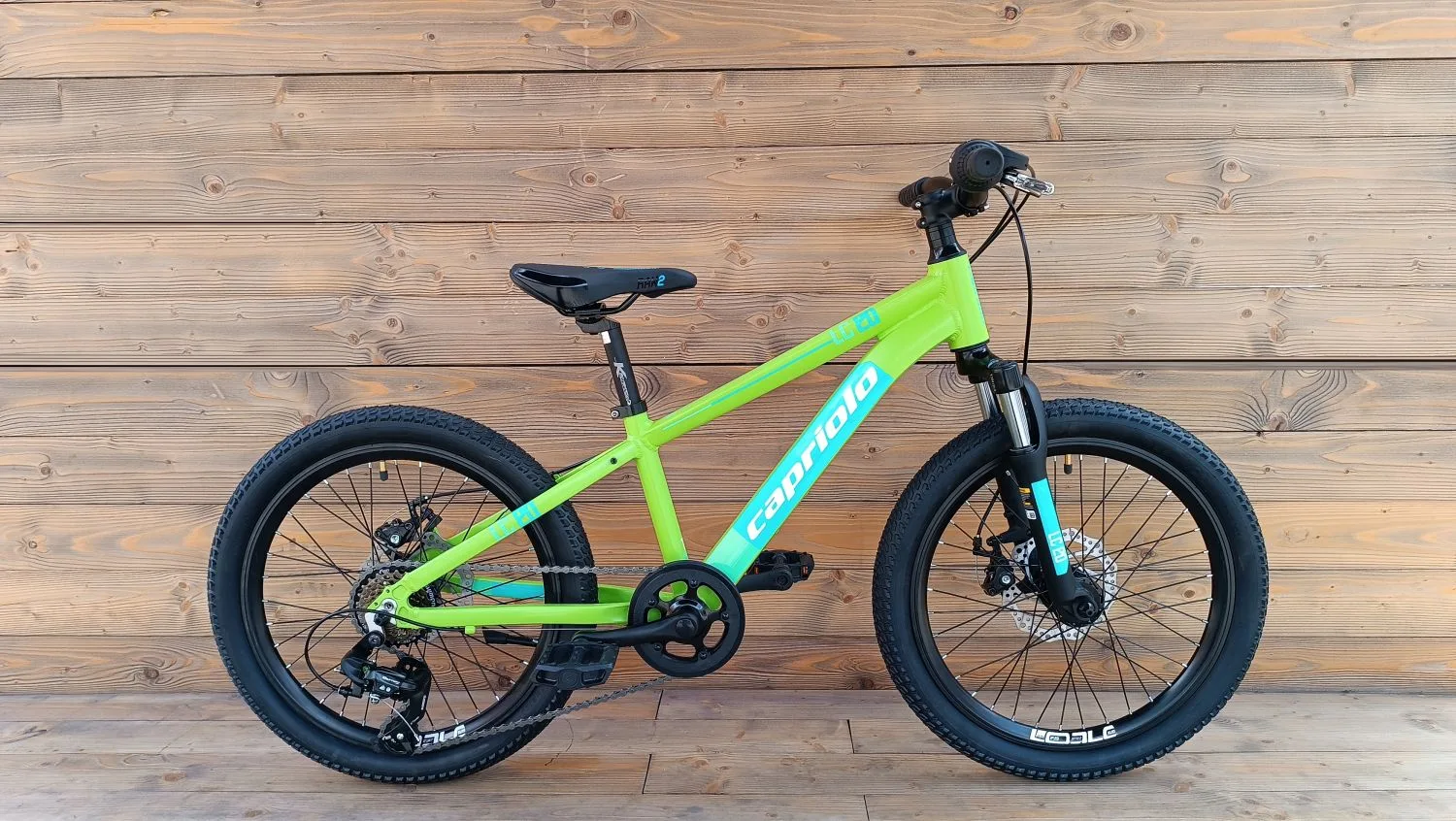 Bicicleta copii 20 Capriolo LC AL verde 11 [2]