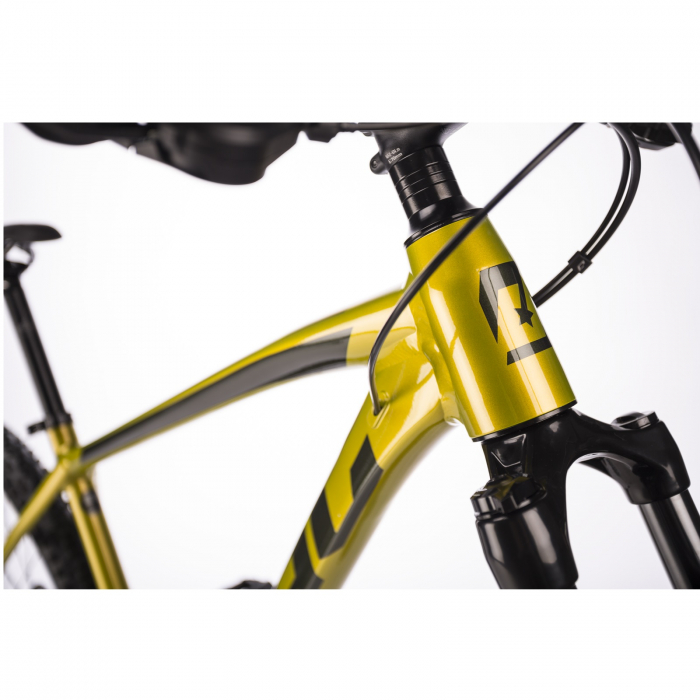 BICICLETA DRAG TRIGGER 5.1 VERDE [4]