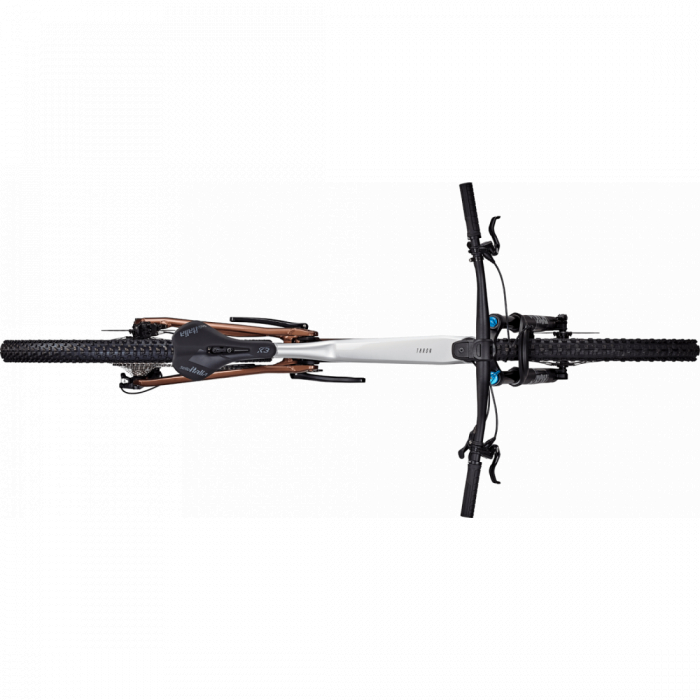 Bicicleta Focus Thron 6.9 29 Nepal Silver / Platinum Bronze [4]