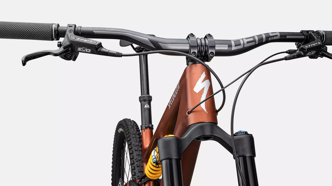 Bicicleta Specialized Stumpjumper 15 Öhlins Coil Satin Copper Speckle / Satin Silver Dust [6]