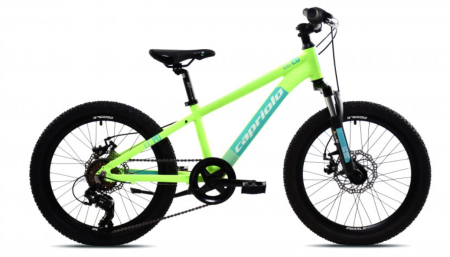 Copii - Bicicleta copii 20 Capriolo LC AL verde 11