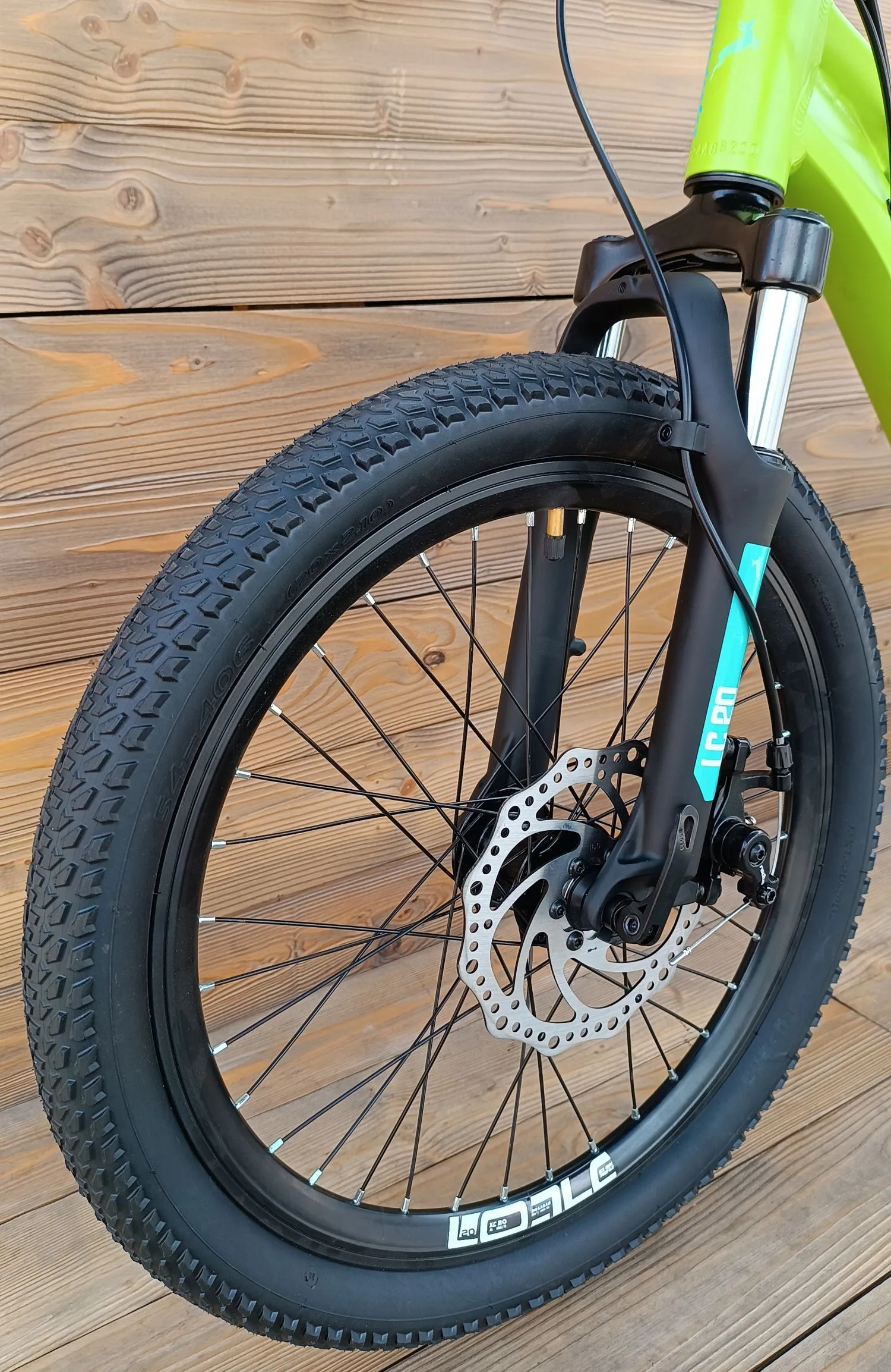 Bicicleta copii 20 Capriolo LC AL verde 11 [4]