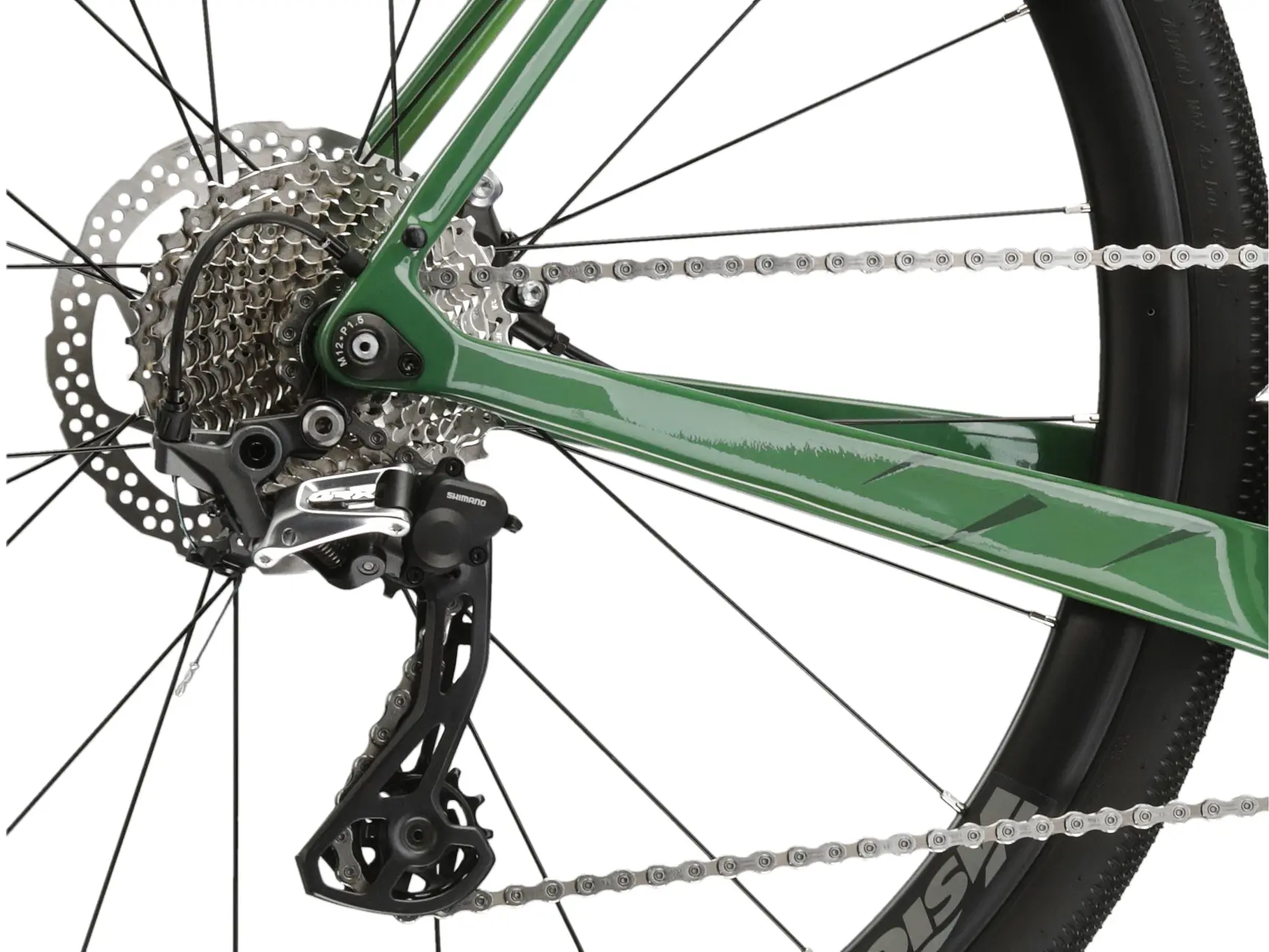 BICICLETA KROSS ESKER 8.0 green / dark green / glossy [11]