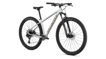 Bicicleta SPECIALIZED Rockhopper Expert 29 - Gloss Silver Dust [1]