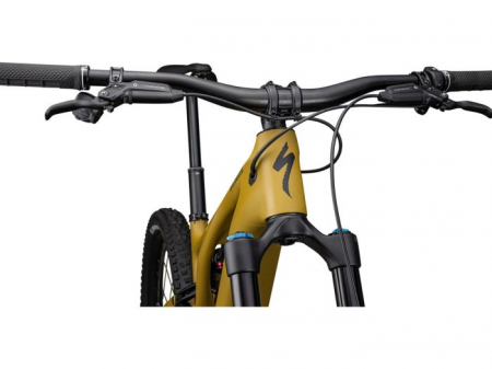 Bicicleta SPECIALIZED Turbo Kenevo SL 2 Expert - Satin Harvest Gold [3]