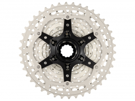 Pinioane SUNRACE pe caseta 11-42t 10 vit argintii [1]