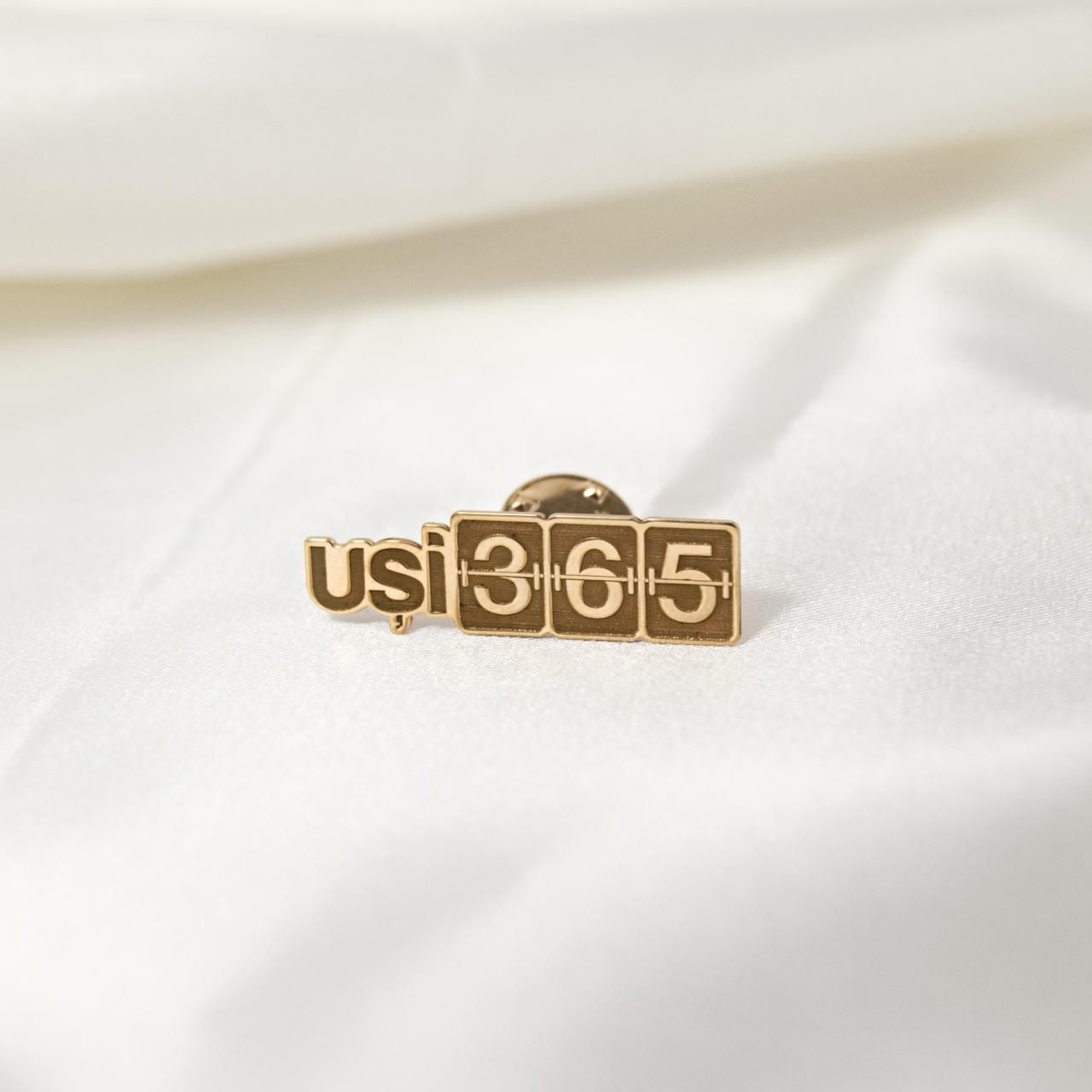 Pin personalizat cu sigla firmei / logo companiei - Argint 925 suflat cu Aur 14K [7]