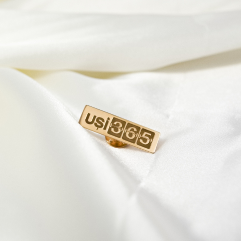 PINI SACOU - Pin personalizat cu sigla firmei / logo companiei - Argint 925 suflat cu Aur 14K