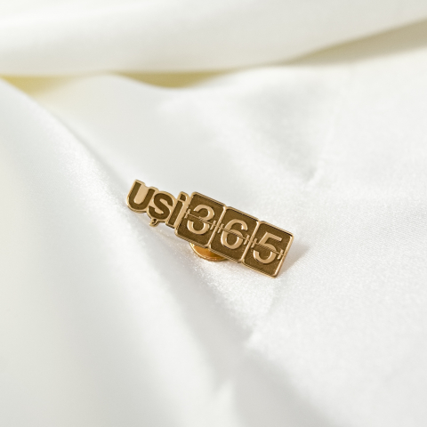 Pin personalizat cu sigla firmei / logo companiei - Argint 925 suflat cu Aur 14K [5]
