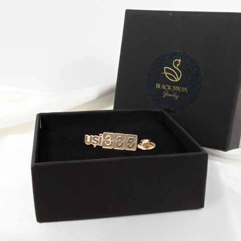 Pin personalizat cu sigla firmei / logo companiei - Argint 925 suflat cu Aur 14K [9]