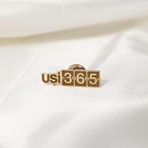 Pin personalizat cu sigla firmei / logo companiei - Argint 925 suflat cu Aur 14K [6]