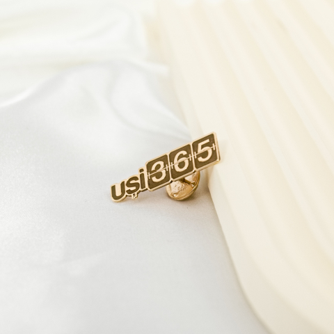 Pin personalizat cu sigla firmei / logo companiei - Argint 925 suflat cu Aur 14K [3]