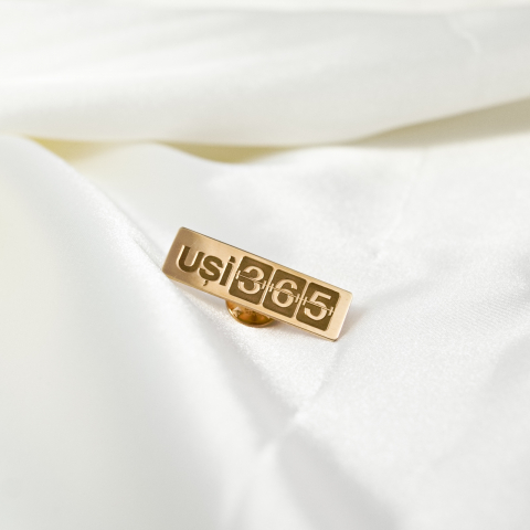 Pin personalizat cu sigla firmei / logo companiei - Argint 925 suflat cu Aur 14K [4]