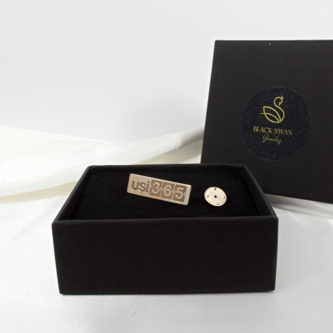 Pin personalizat cu sigla firmei / logo companiei - Argint 925 suflat cu Aur 14K [2]