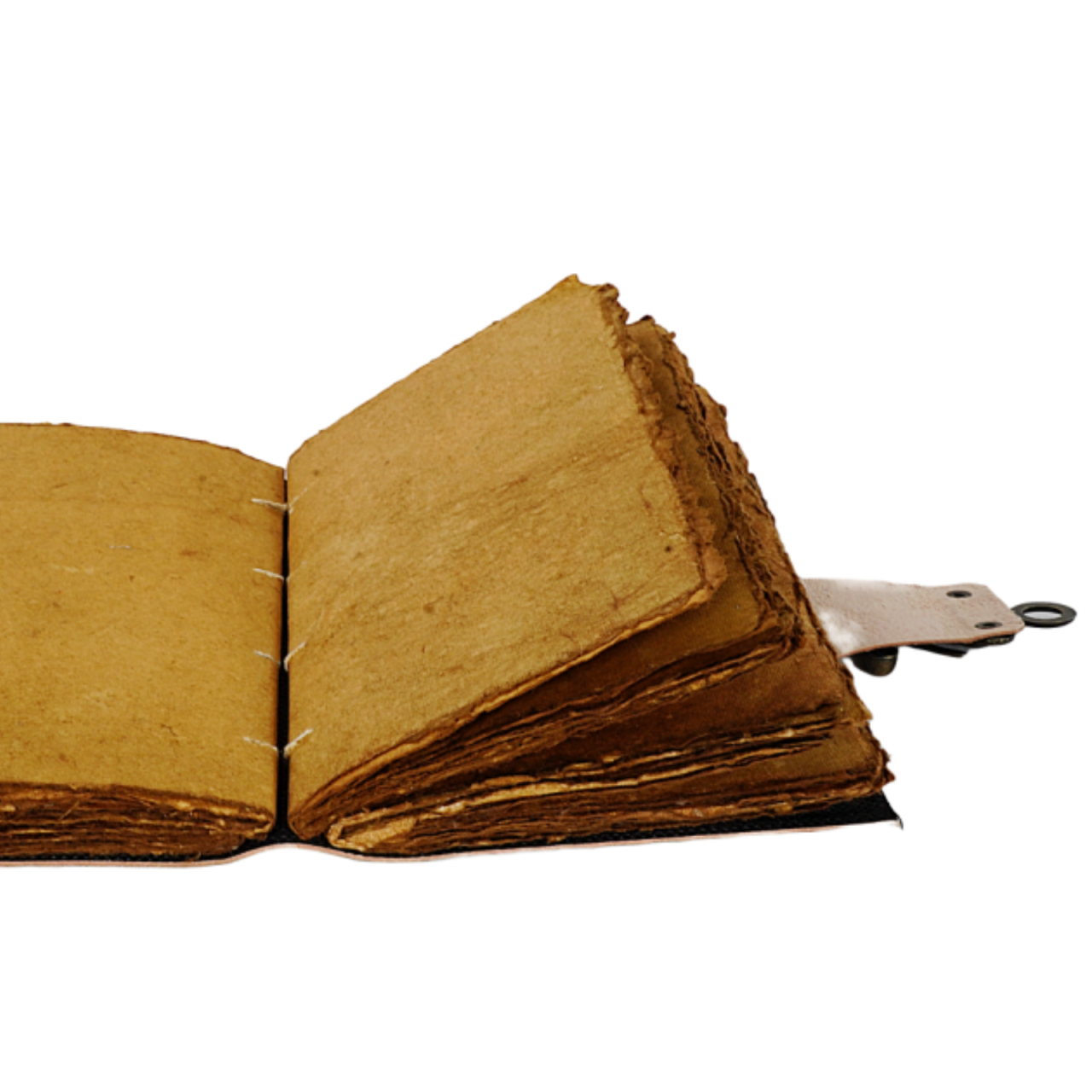 Agenda / Jurnal din piele naturala cu pagini tip pergament si inchidere metalica - Copac antic [3]