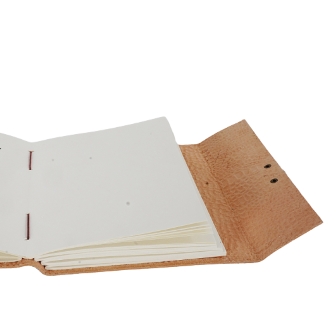 Agenda / Jurnal din piele naturala cu inchidere metalica - Croco [5]