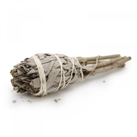 Aromaterapie si fumigatie - Manunchi de fumigatie salvie alba - 10 cm