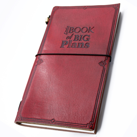 Produse noi - Agenda din piele naturala rosie cu mesaj - Little book of big plans